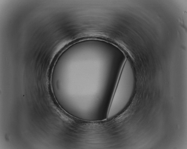 X0000094961024200711291123