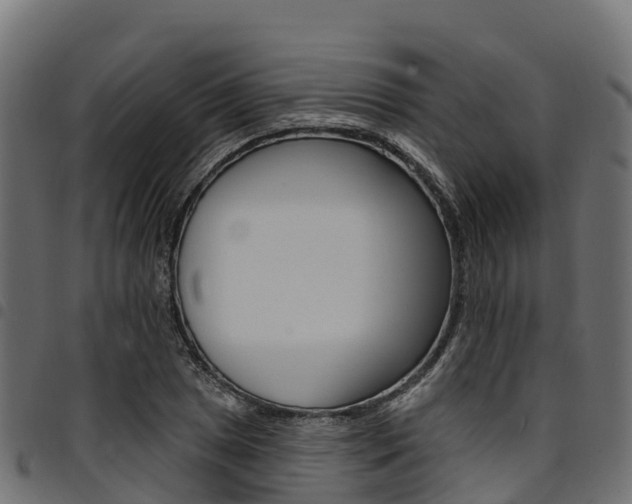 X0000094961025200711291123