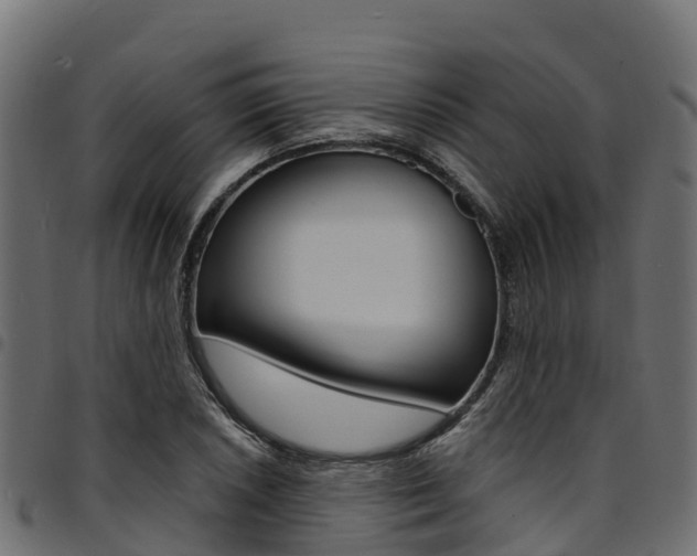 X0000094961026200711291123
