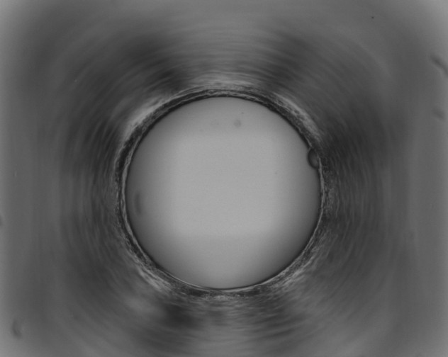 X0000094961027200711291123