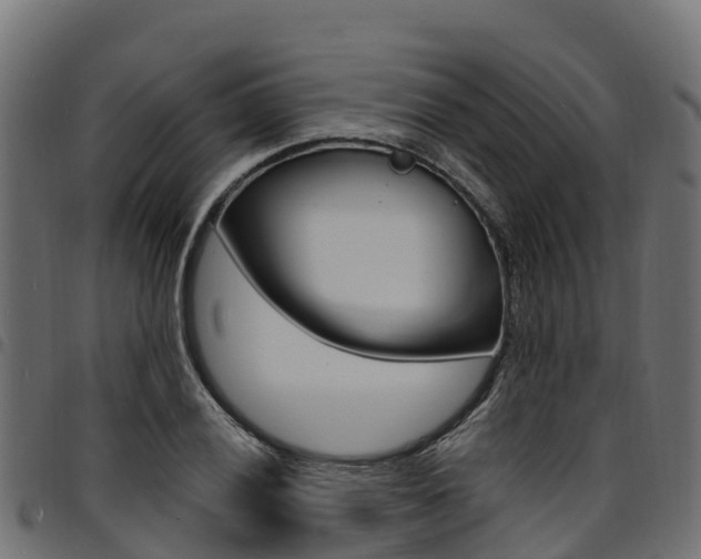 X0000094961028200711291123