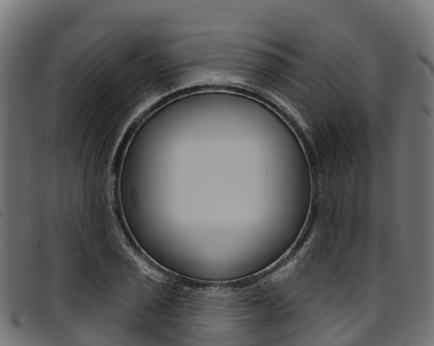 X0000094961029200711291123