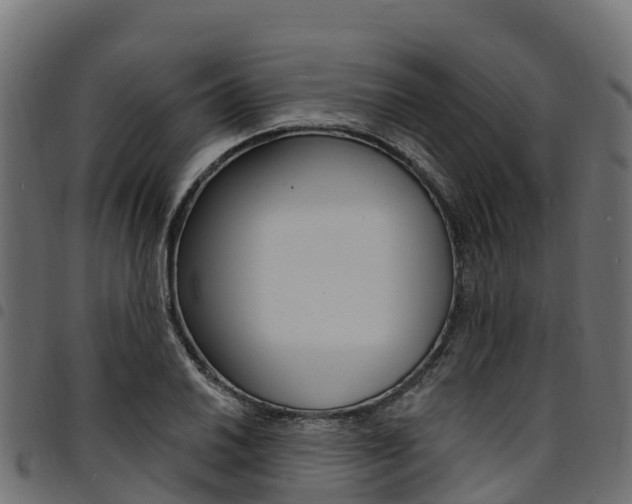 X0000094961030200711291123