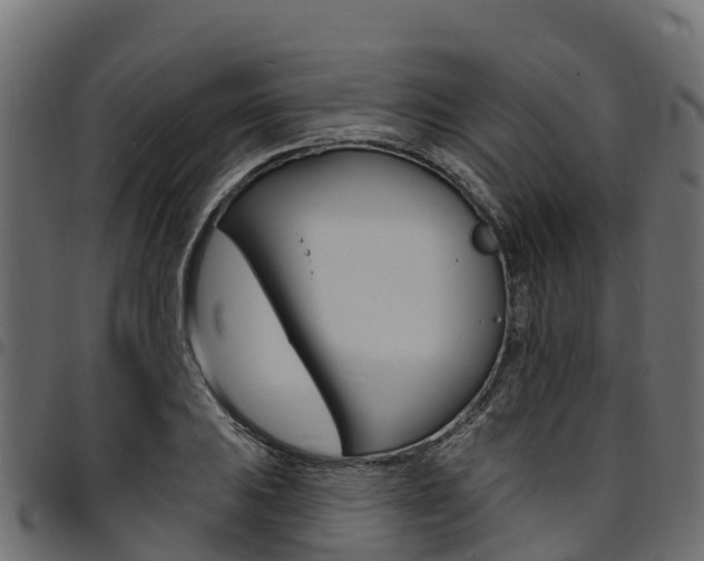 X0000094961031200711291123