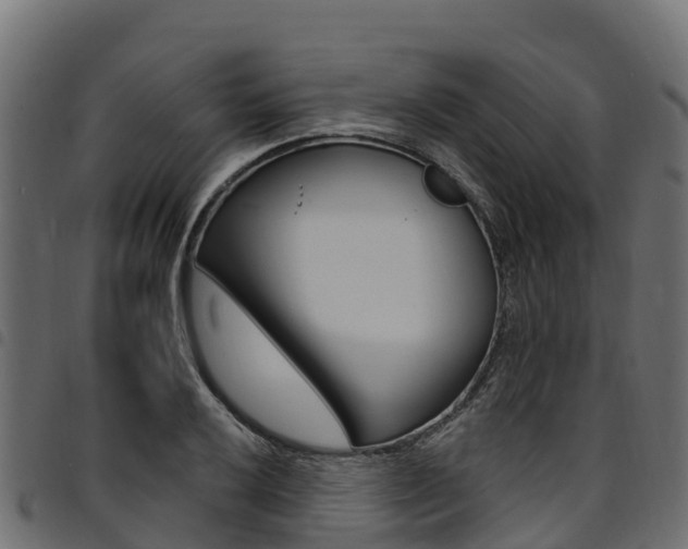 X0000094961032200711291123