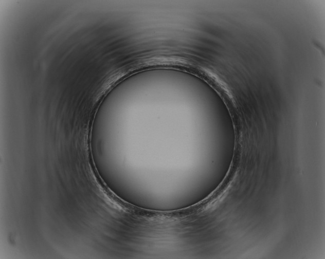 X0000094961033200711291123