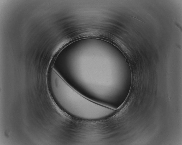 X0000094961034200711291123