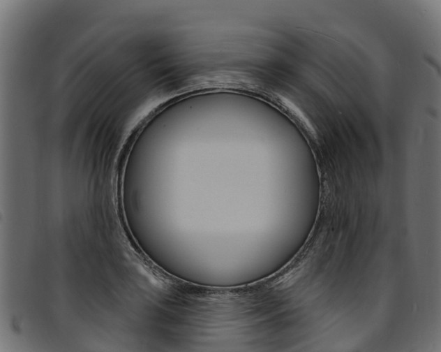 X0000094961035200711291123