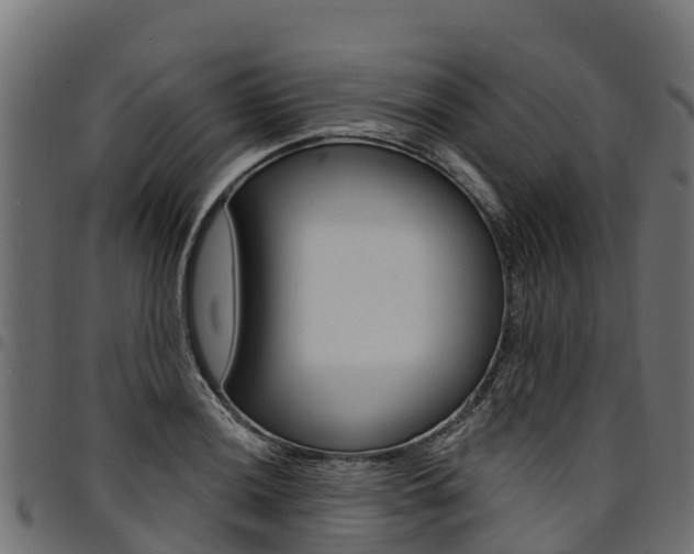 X0000094961036200711291123