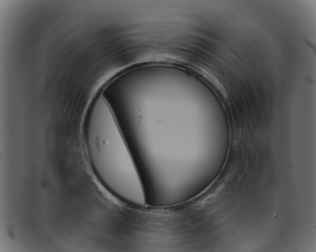 X0000094961037200711291123