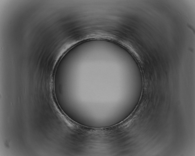 X0000094961040200711291123