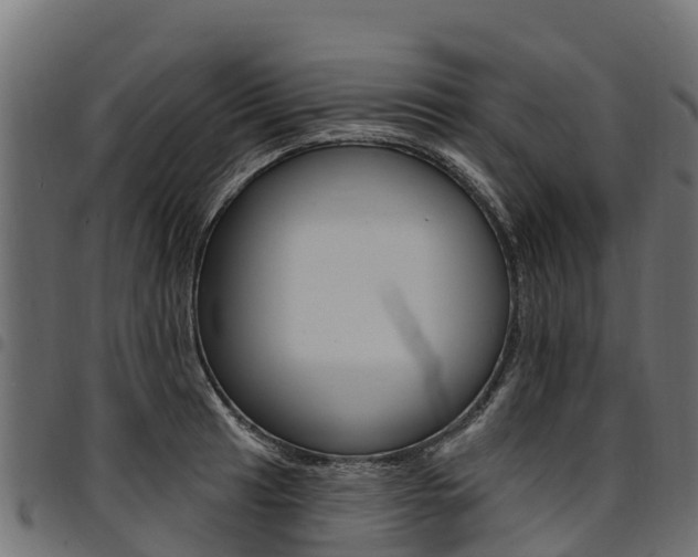 X0000094961041200711291123