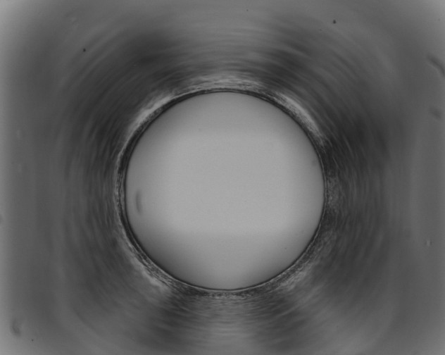 X0000094961043200711291123