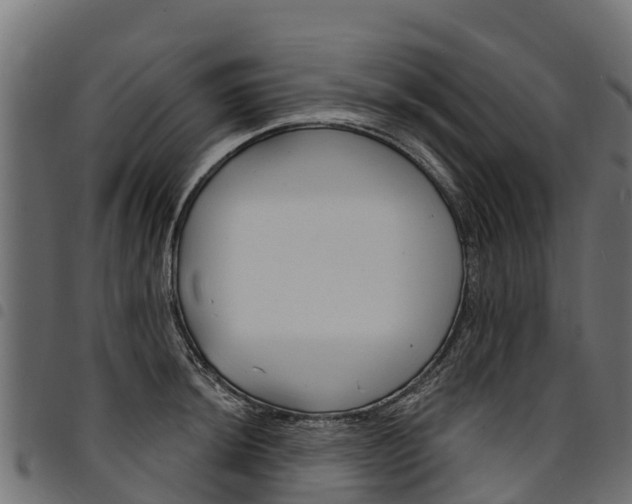 X0000094961044200711291123