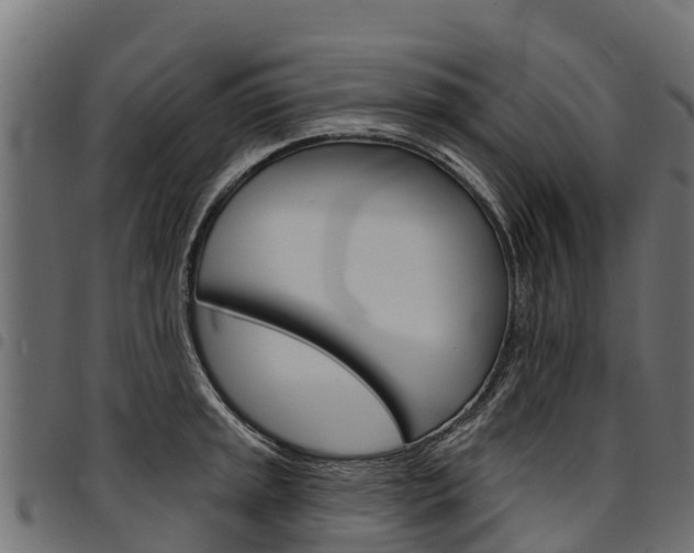 X0000094961045200711291123