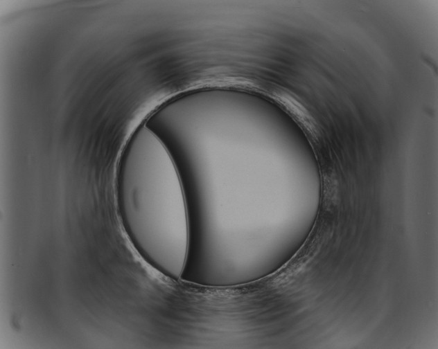 X0000094961046200711291123