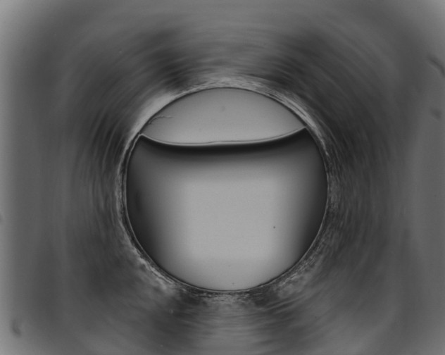 X0000094961048200711291123