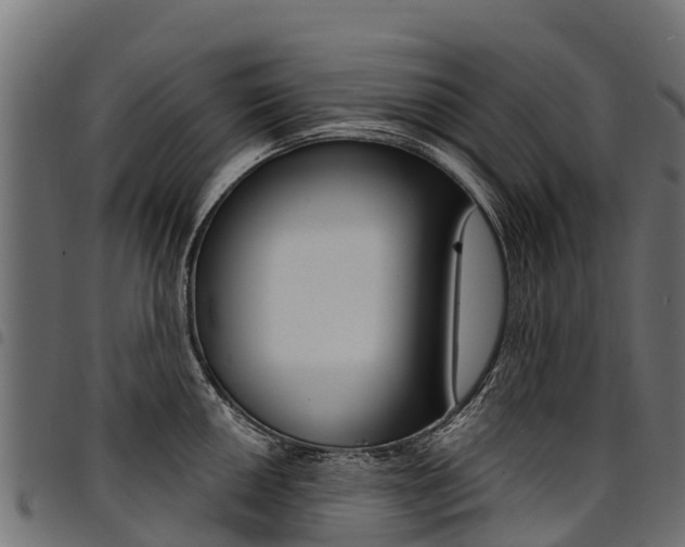 X0000094961050200711291123