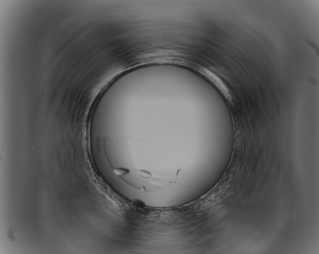 X0000094961051200711291123