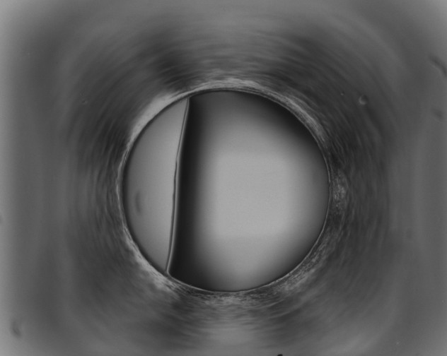 X0000094961054200711291123
