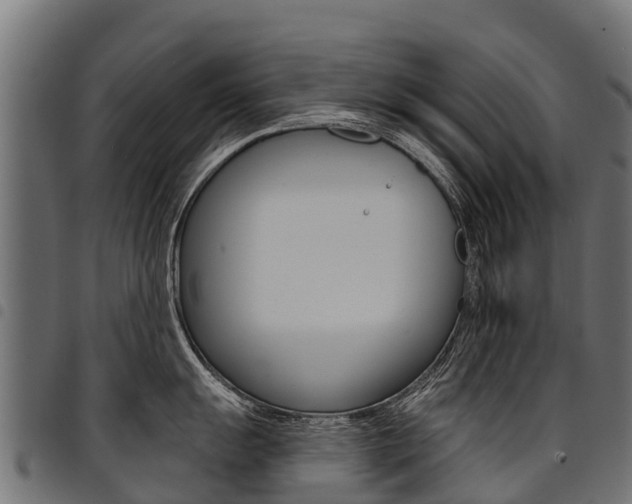 X0000094961055200711291123