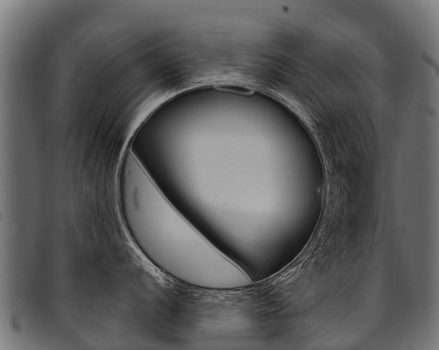 X0000094961056200711291123