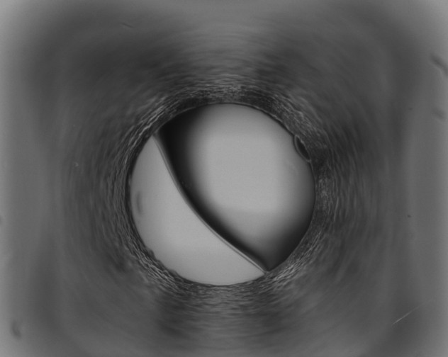 X0000094961057200711291123