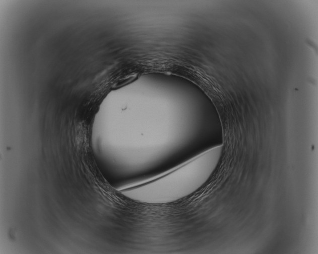 X0000094961058200711291123