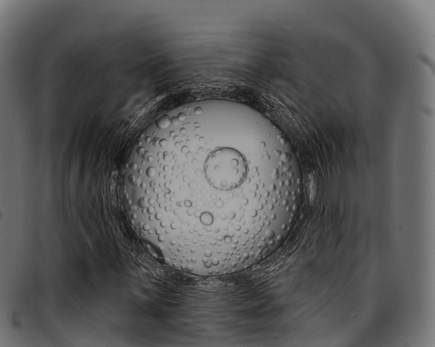 X0000094961059200711291123