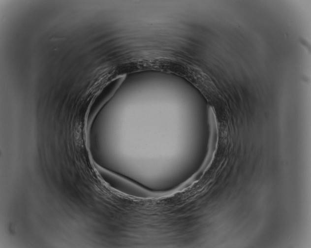 X0000094961060200711291123