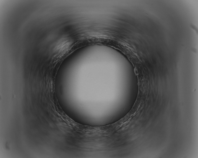 X0000094961061200711291123