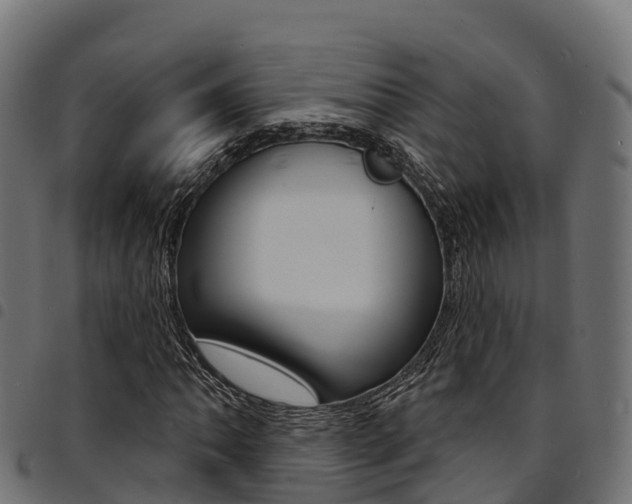 X0000094961062200711291123