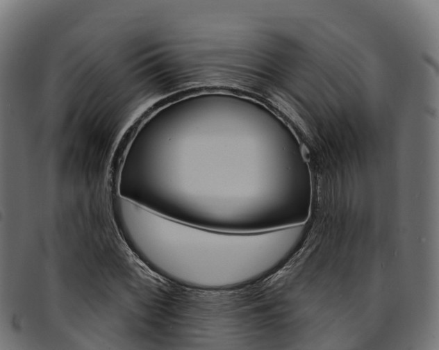 X0000094961068200711291122
