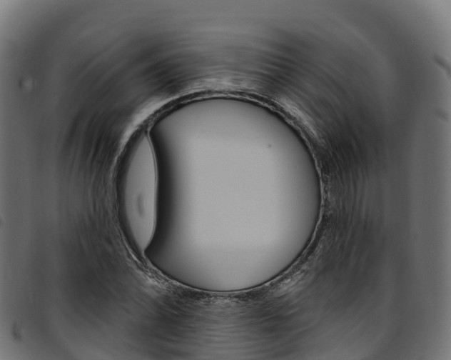 X0000094961070200711291122