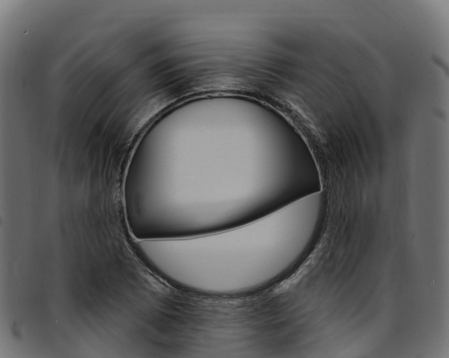 X0000094961073200711291122