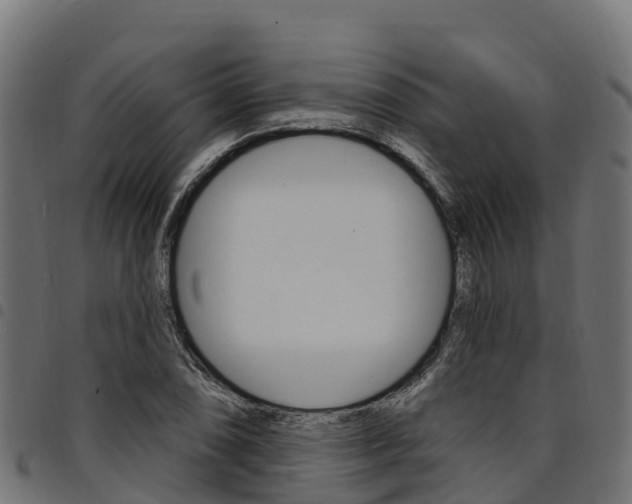 X0000094961074200711291122