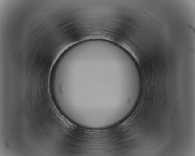 X0000094961076200711291122