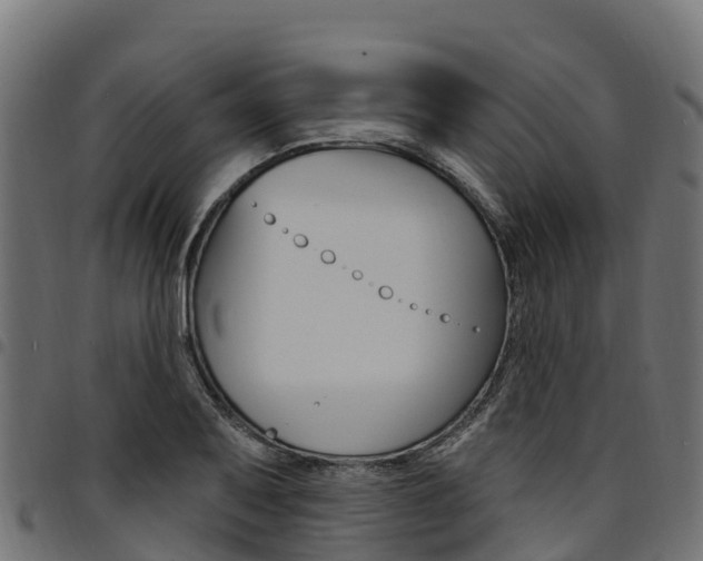 X0000094961079200711291122