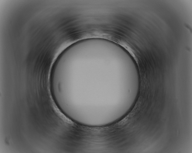 X0000094961080200711291122