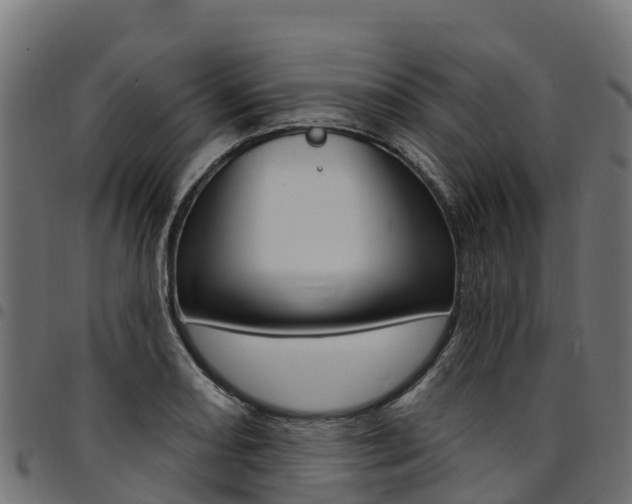 X0000094961082200711291122