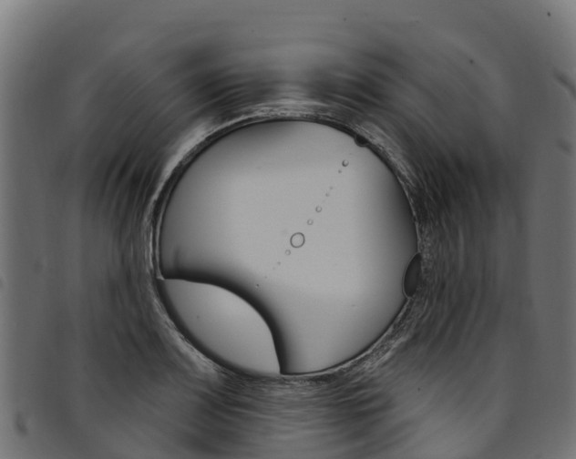 X0000094961083200711291122