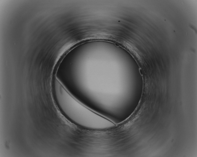 X0000094961085200711291122