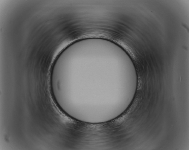 X0000094961086200711291122