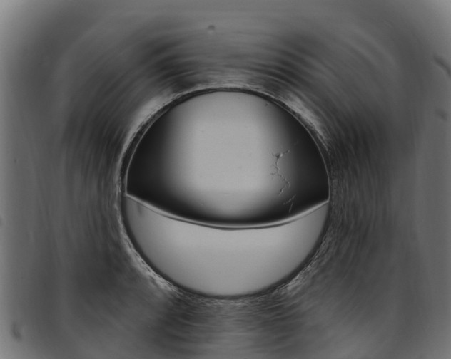 X0000094961088200711291122