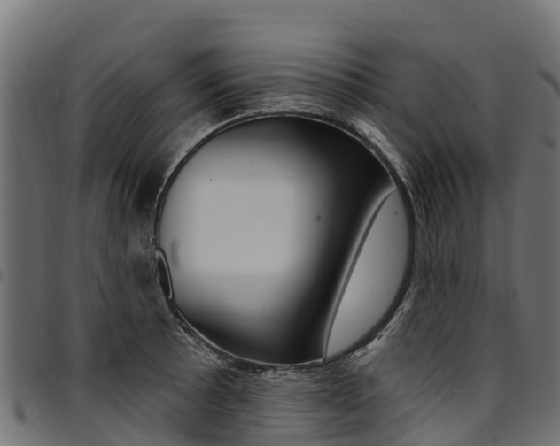 X0000094961089200711291122