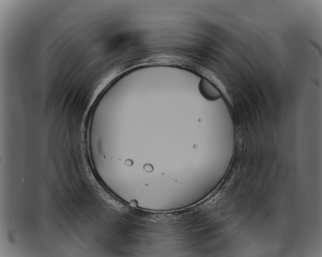 X0000094961091200711291122