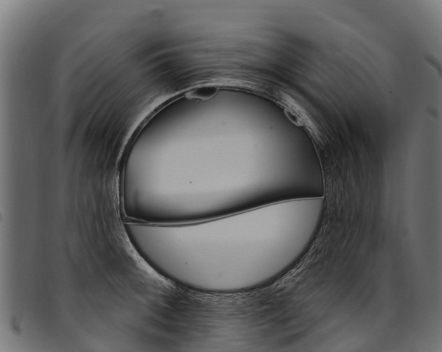 X0000094961092200711291122