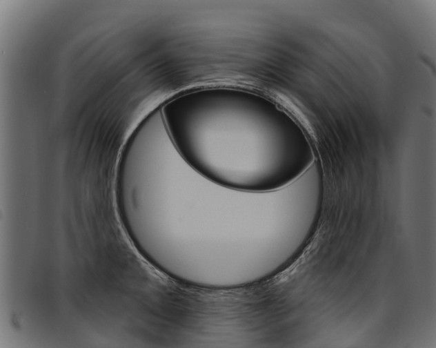 X0000094961093200711291122