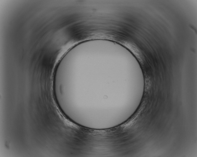 X0000094961094200711291122