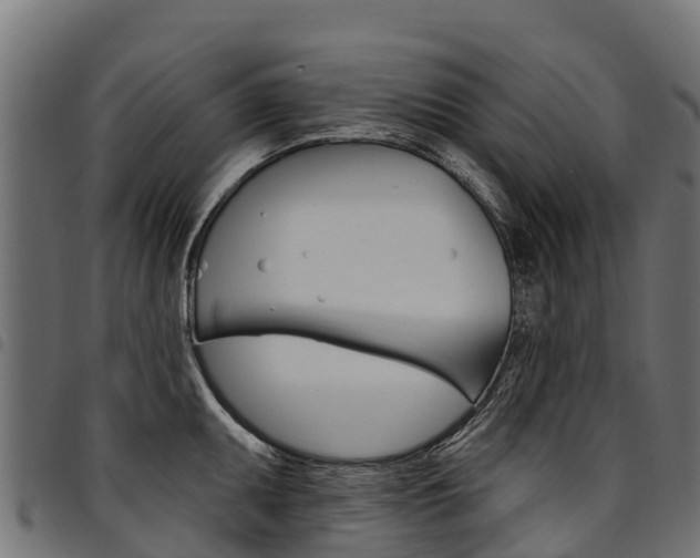 X0000094961095200711291122